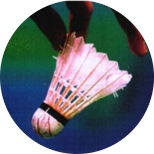 Badminton (25mm Centre)