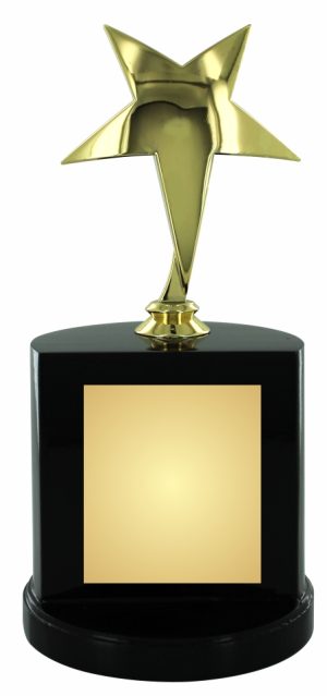 Gold Metal Star on Plinth