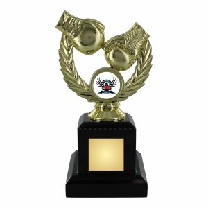 Gold Boxing Trophy