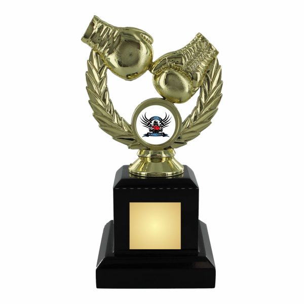 Gold Boxing Trophy