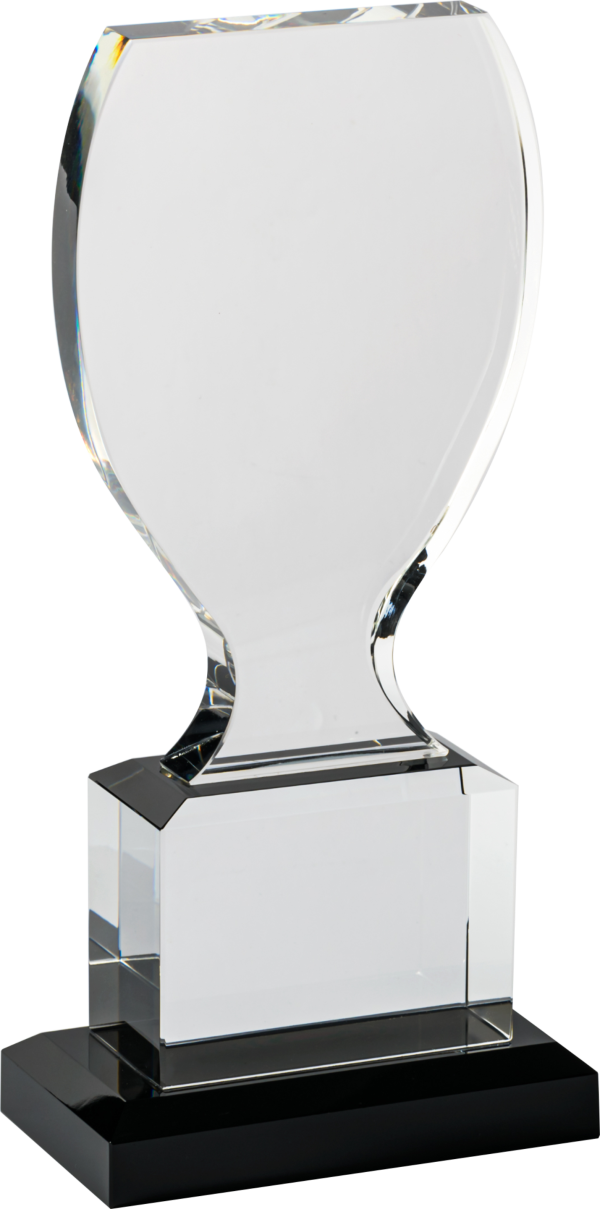 Cup Clear/BK Crystal Award (Satin Box)