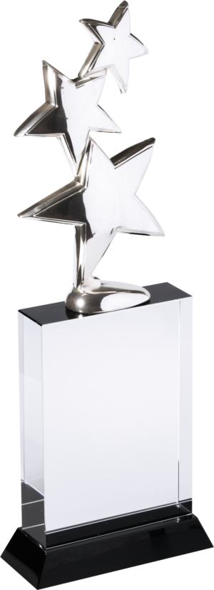 Metal Star on Crystal Award (Satin Box)