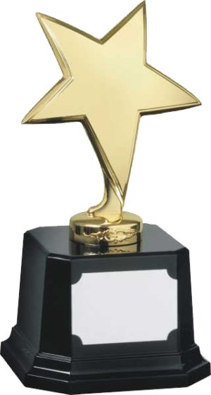 22cm Gold Metal Star on Plinth