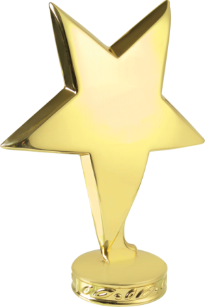 Metal Standing Star