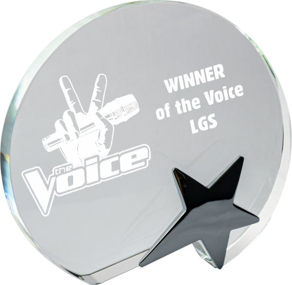 Crystal Award with Star (Satin Box)