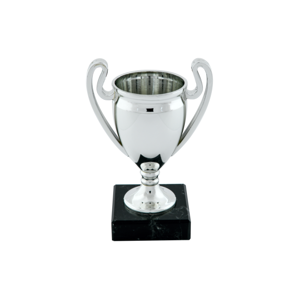 Plastic Euro Cup on Black Marble