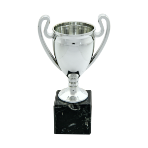 Euro Cup on Black Marble Column