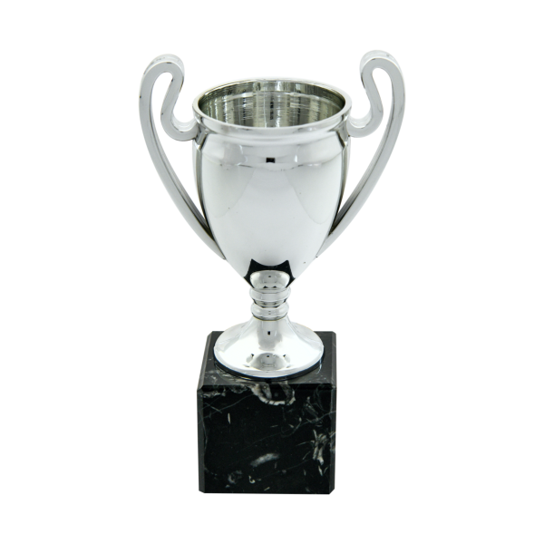 Euro Cup on Black Marble Column
