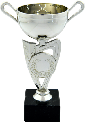 Plastic Silver Cup to suit Centre
