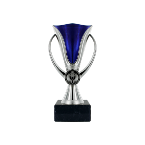 Silver & Blue Plastic Cup Marble