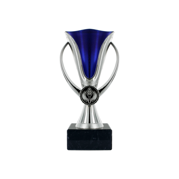 Silver & Blue Plastic Cup Marble