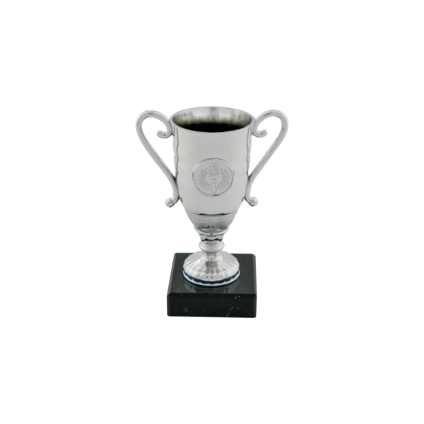 Silver Plastic Cup Black Marble