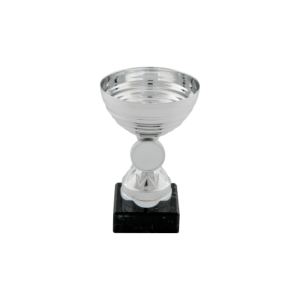 Silver Metal Cup Trophy