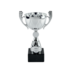 Silver Metal Cup Trophy