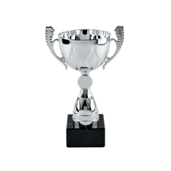Silver Metal Cup Trophy