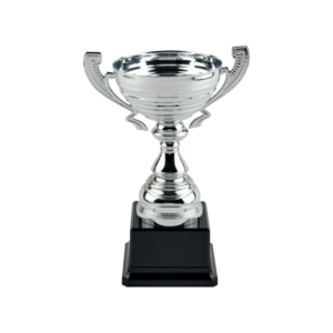 Silver Metal Cup Trophy