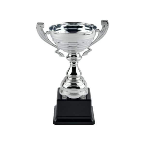 Silver Metal Cup Trophy