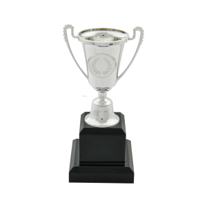 Silver Plastic Cup Trophy