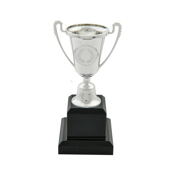 Silver Plastic Cup Trophy