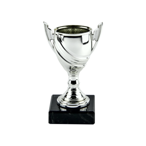 Silver Plastic Cup Trophy