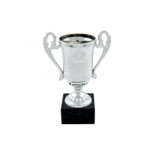 Silver Plastic Cup Trophy and centre
