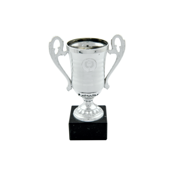 Silver Plastic Cup Trophy and centre