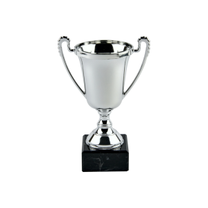 Silver Plastic Cup Trophy
