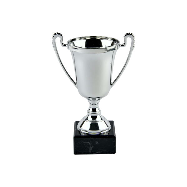 Silver Plastic Cup Trophy