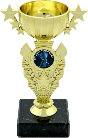 Gold Plastic Cup Trophy