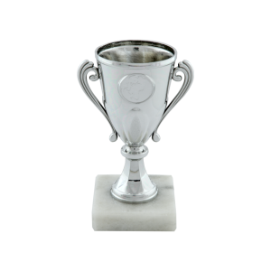 Silver Plastic Cup Trophy