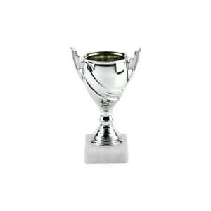 Kyoto Silver Cup on Tubing