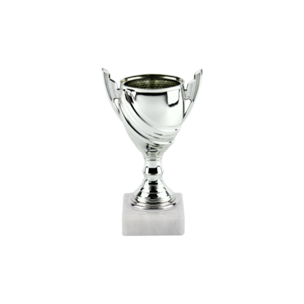 Kyoto Silver Cup on Tubing