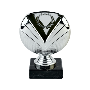 Silver Cup on Black Marble