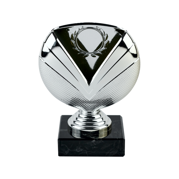 Silver Cup on Black Marble