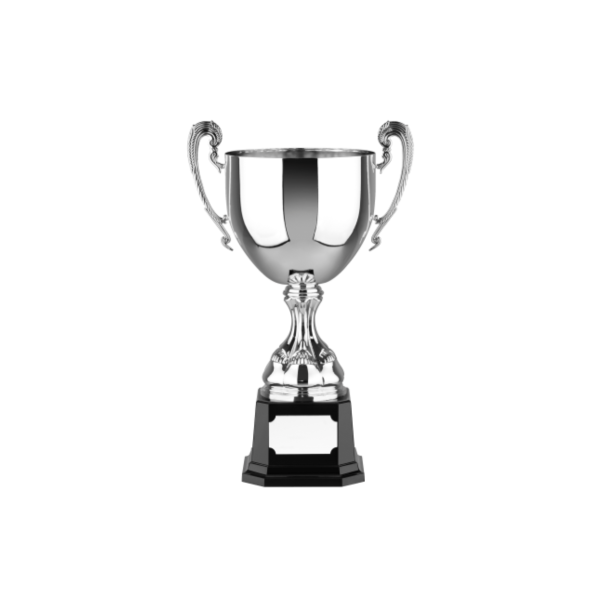 Swatkins Euro Cup