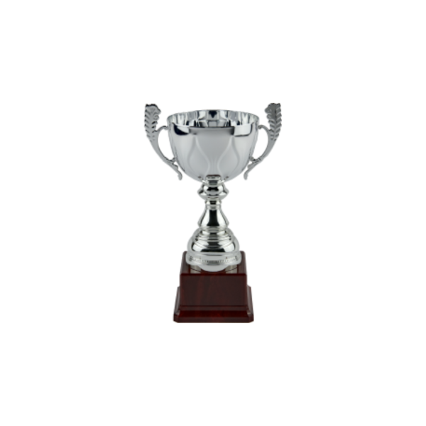 Silver Metal Cup on Brown Bas
