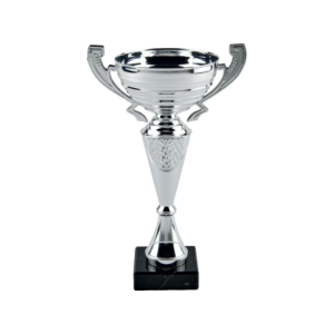 Silver Metal Cup Trophy