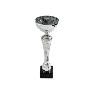 Silver Metal Cup
