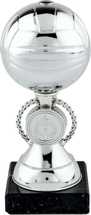 Silver Gaelic Ball Trophy