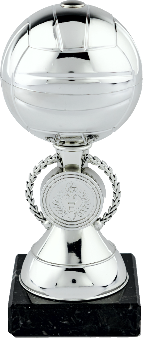 Silver Gaelic Ball Trophy