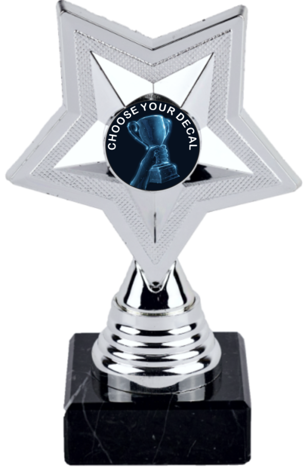 13cm Silver Star Holder