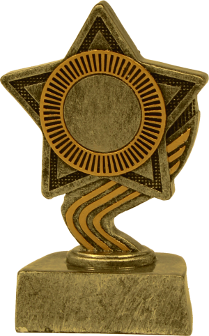 100mm Star Resin Plaque 25mm Decal