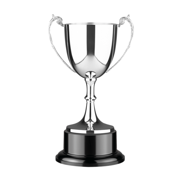 Traditional Silver Cup