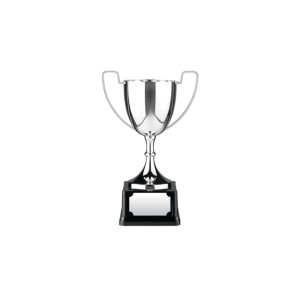 Swatkins Replica Nickle Plated Cup