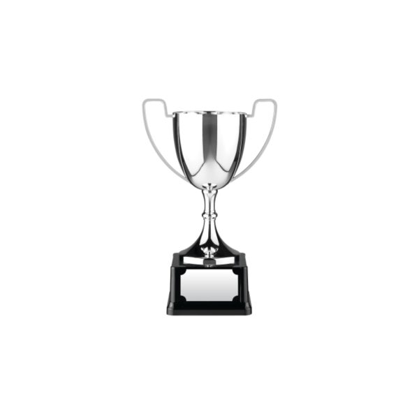 Swatkins Replica Nickle Plated Cup