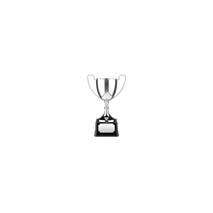 Swatkins Replica Nickle Plated Cup