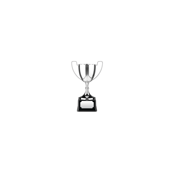 Swatkins Replica Nickle Plated Cup