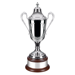 55cm Swatkins Formula Chased Cup
