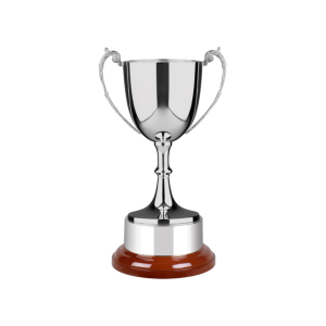 Handmade Trad Cup on Wood Plinth