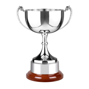 31cm Swatkins Cup with Wood Plinth & Band